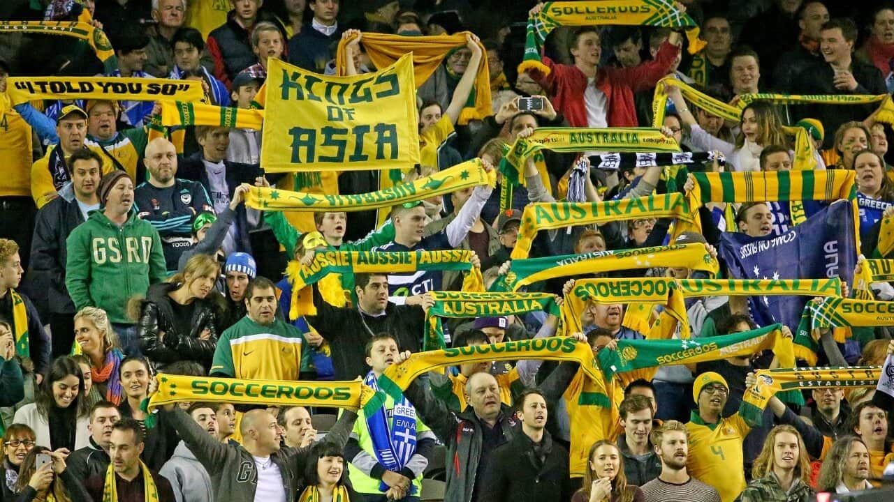 Socceroos fans