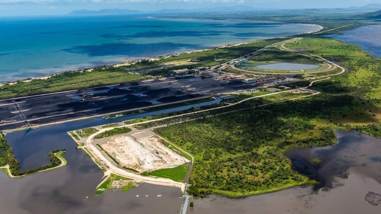 The Adani Abbot Point coal terminal and the Caley Valley Wetlands