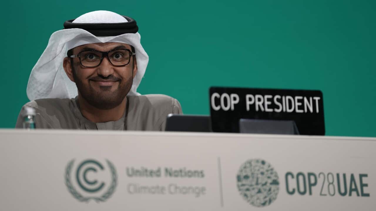 COP28 Climate Summit