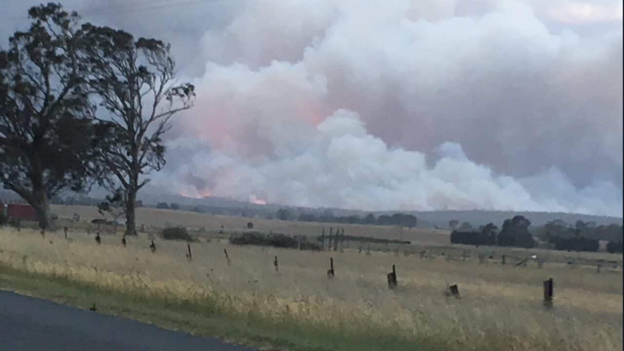 The Victorian fire near Rosedale.