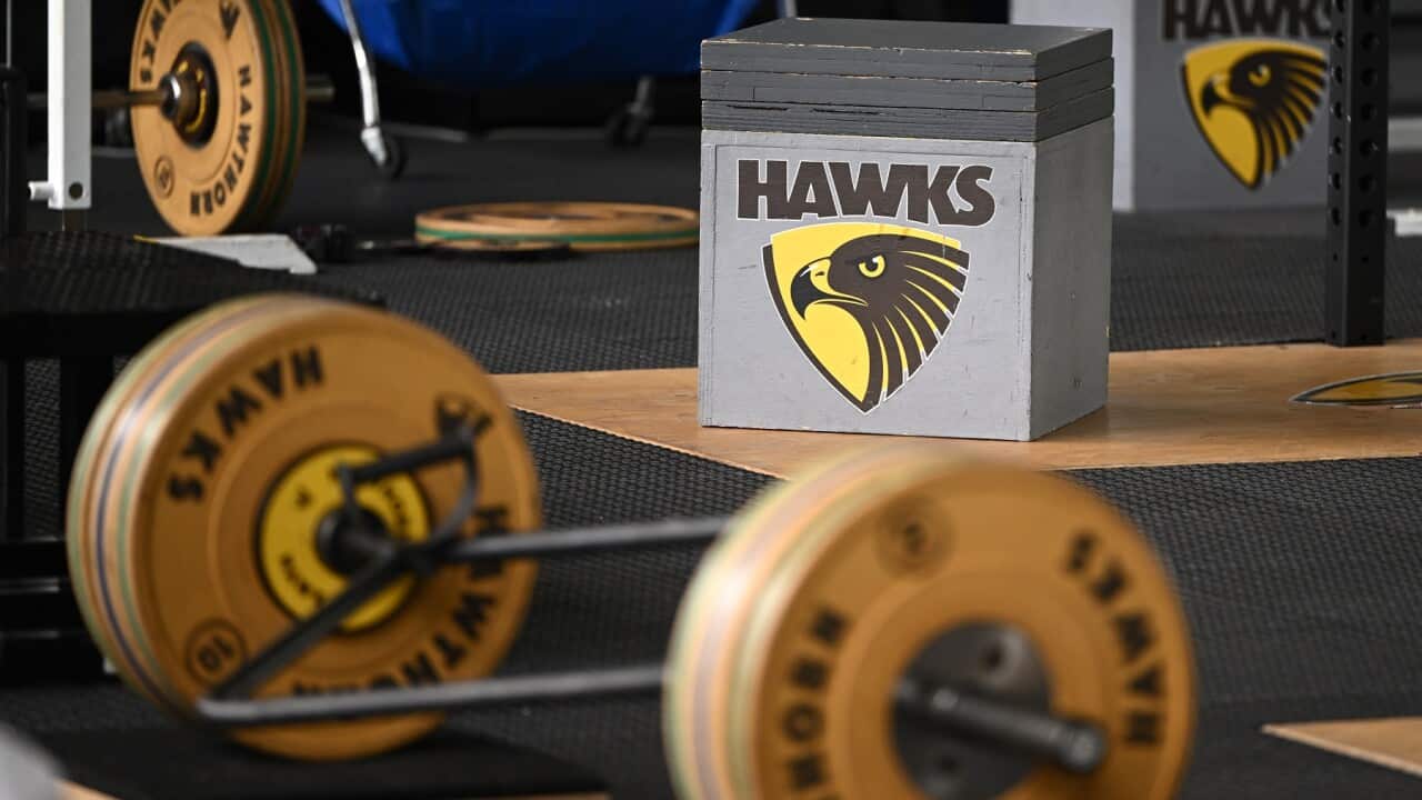 AFL HAWTHORN FOOTBALL CLUB STOCK