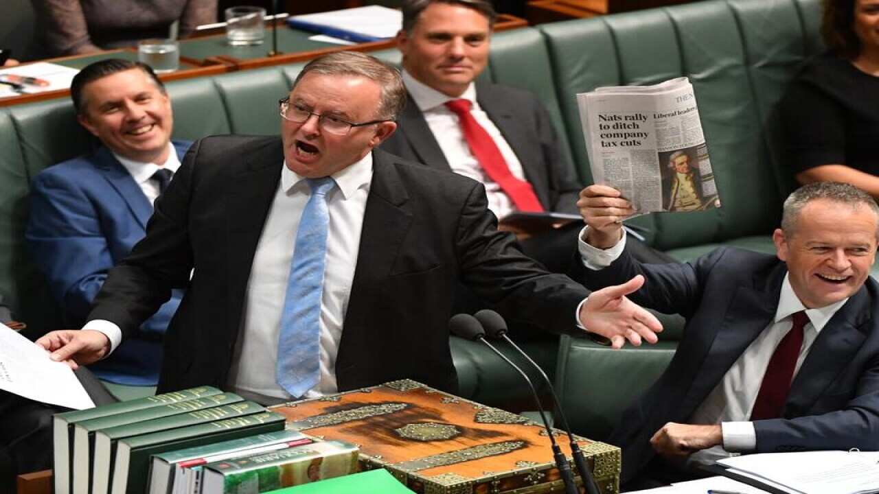 Anthony Albanese