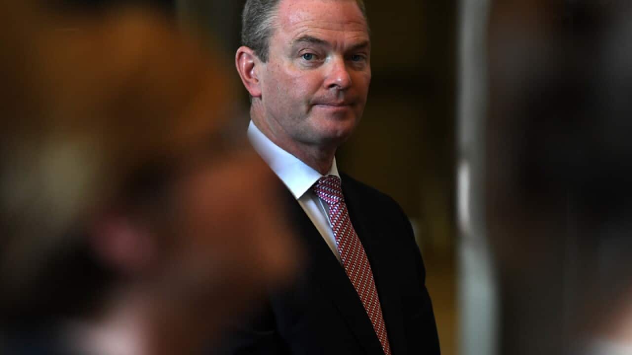 Christopher Pyne