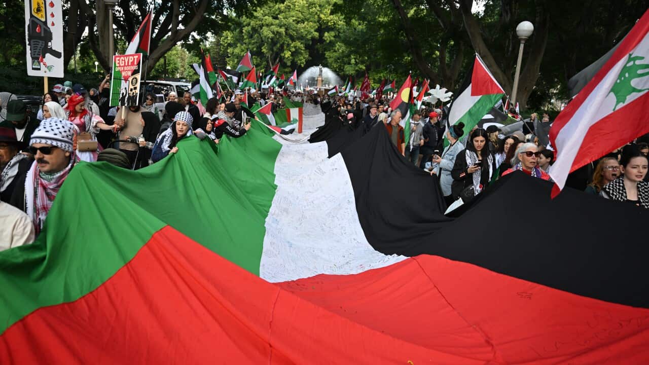 PRO PALESTINE RALLY SYDNEY