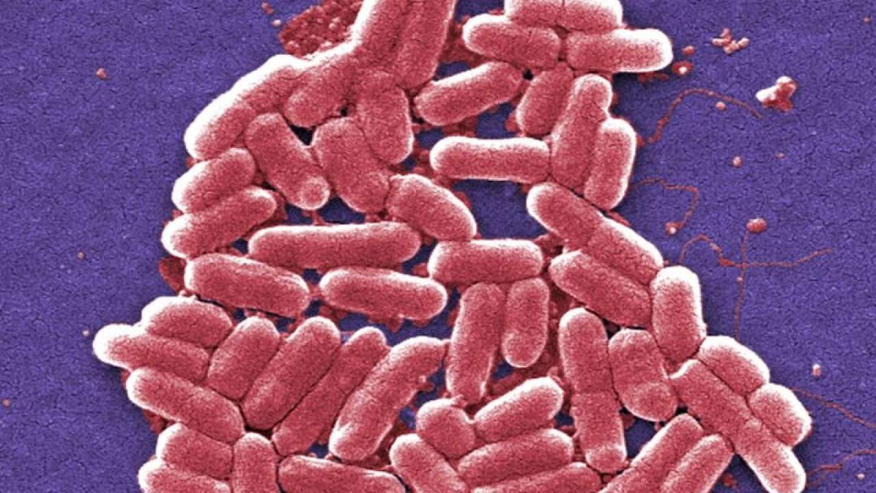 Superbug