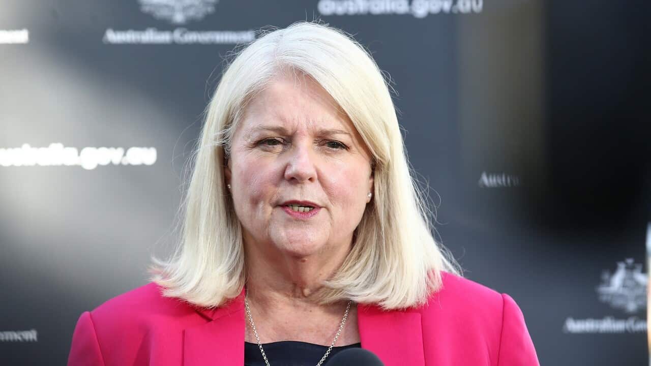 Minister for Home Affairs Karen Andrews addresses the media during a press conference on the Gold Coast, Wednesday, June 30, 2021. (AAP Image/Jono Searle) NO ARCHIVING