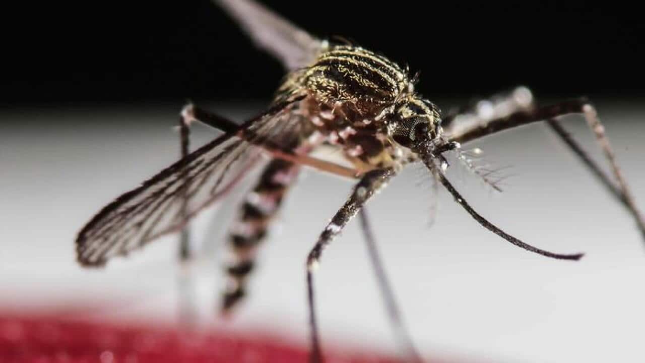Zika