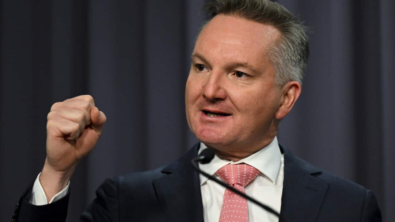 Minister for Climate Change & Energy Chris Bowen says the energy market is a 'complicated beast'