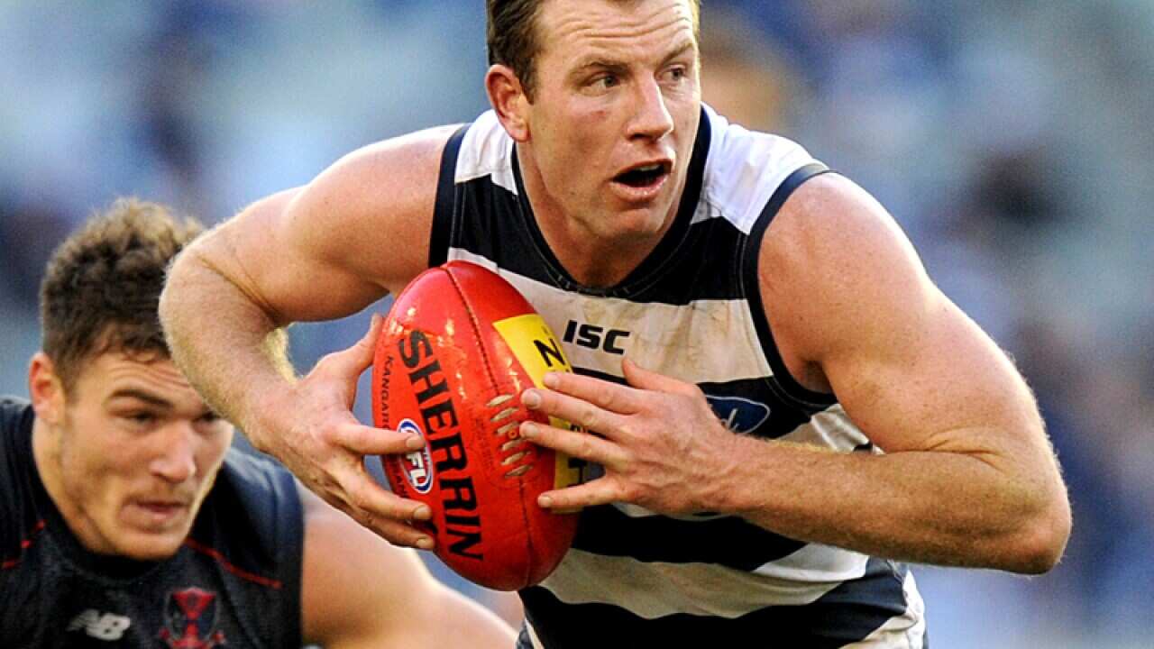 Geelong AFL player Steve Johnson