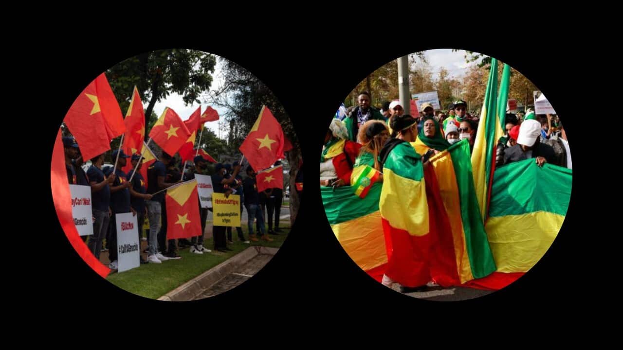 Image for read more article 'READ MORE'