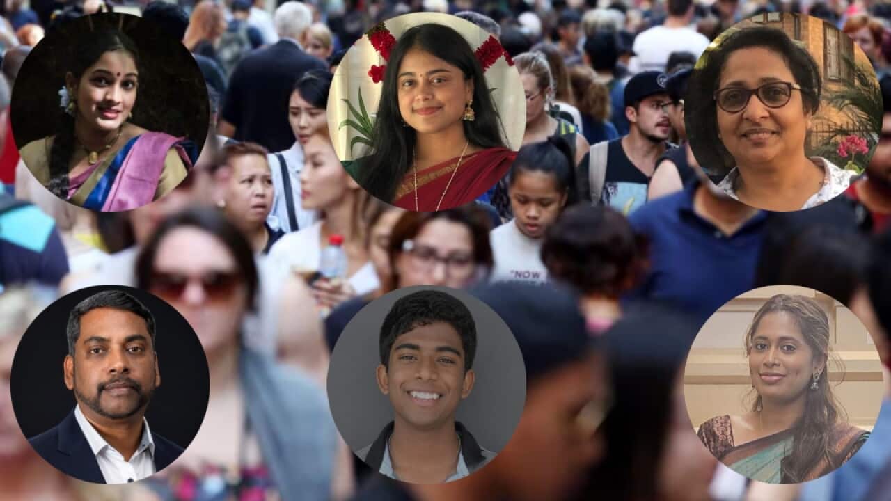 Census Vox pop 2026.jpg