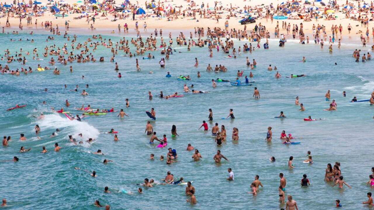 Beach