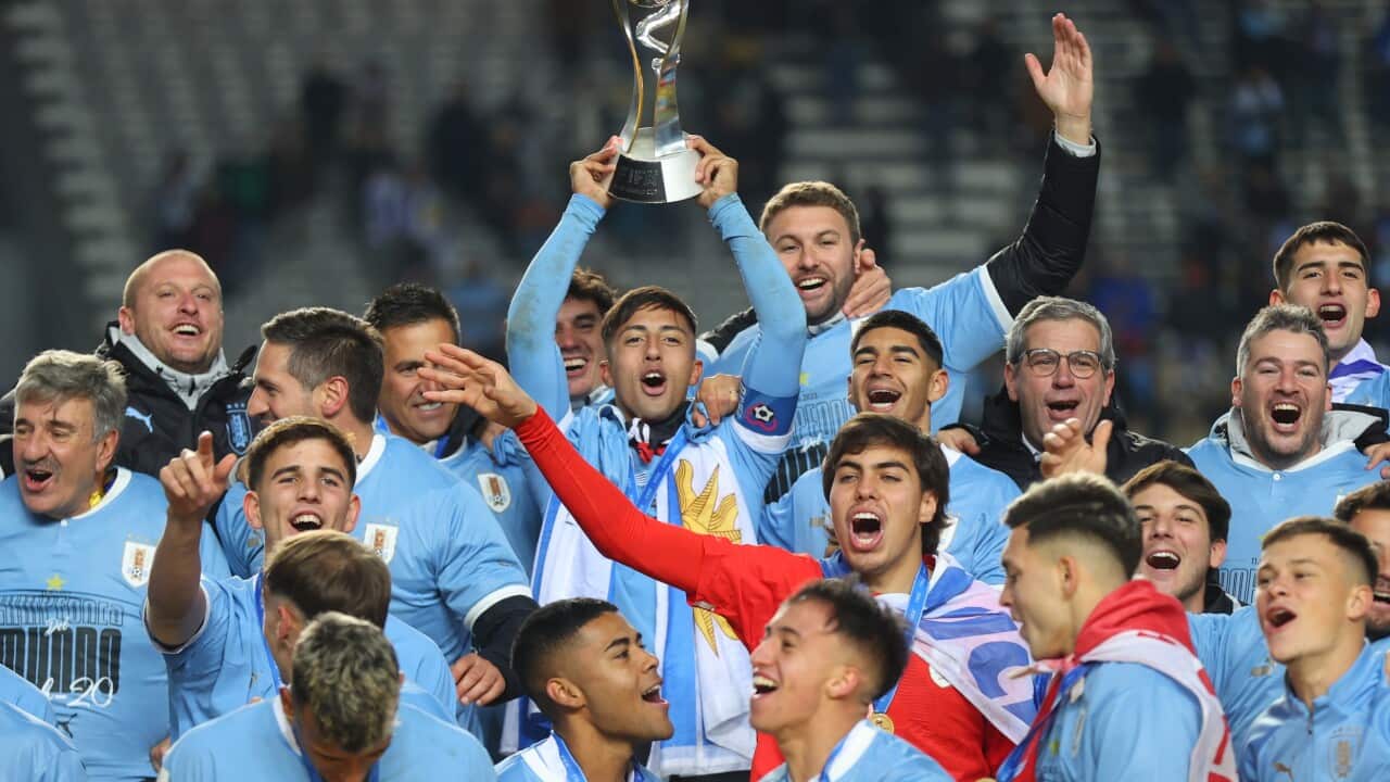 Image for read more article ''