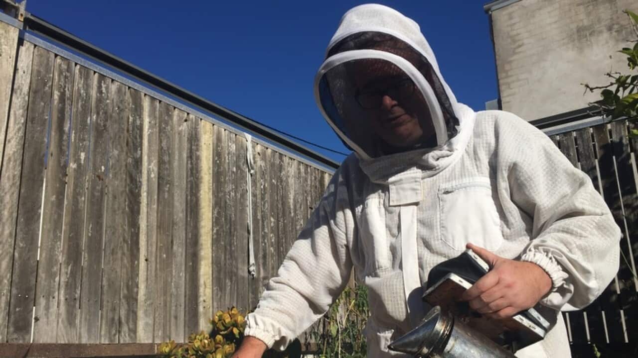 Doug Purdie has worked in the beekeeping industry for 12 years and seen first-hand the deadly impact of the pesticide.