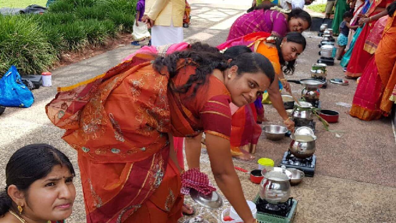Pongal Festival 2018 in Brisbane