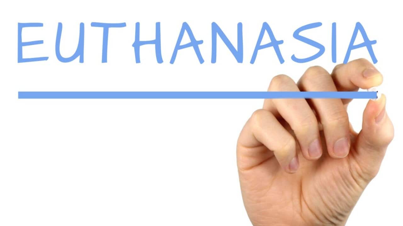 Euthanasia