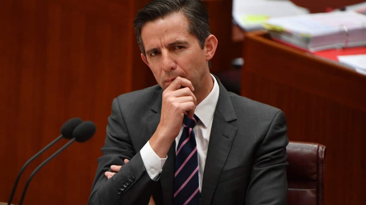 Minister for Finance Simon Birmingham during Question Time in the Senate chamber at Parliament House in Canberra, Monday, February 22, 2021. (AAP Image/Mick Tsikas) NO ARCHIVING