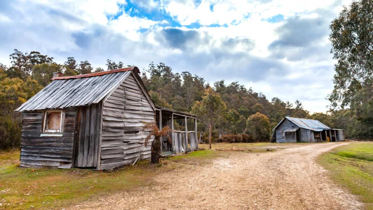 Copy of Newsletter big.png