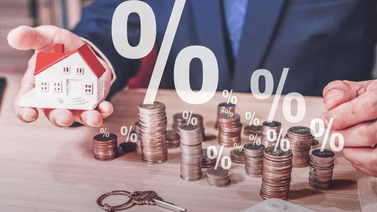 四份之一個百份點基本貨幣政策單位。