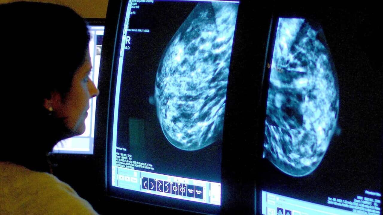 Bir mamogram analiz ediliyor