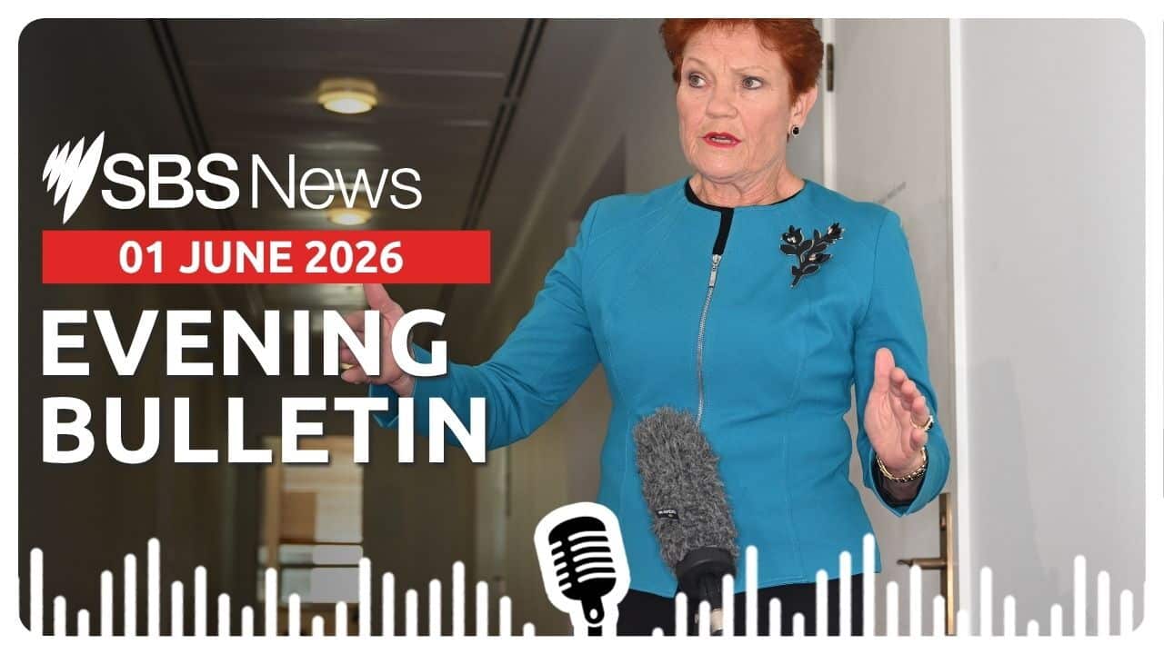 Evening News Bulletin 1 June 2026 (AAP).jpg