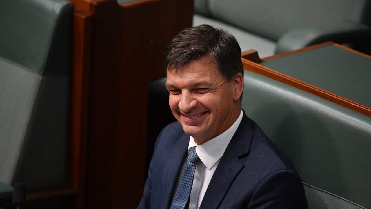 Energy Minister Angus Taylor