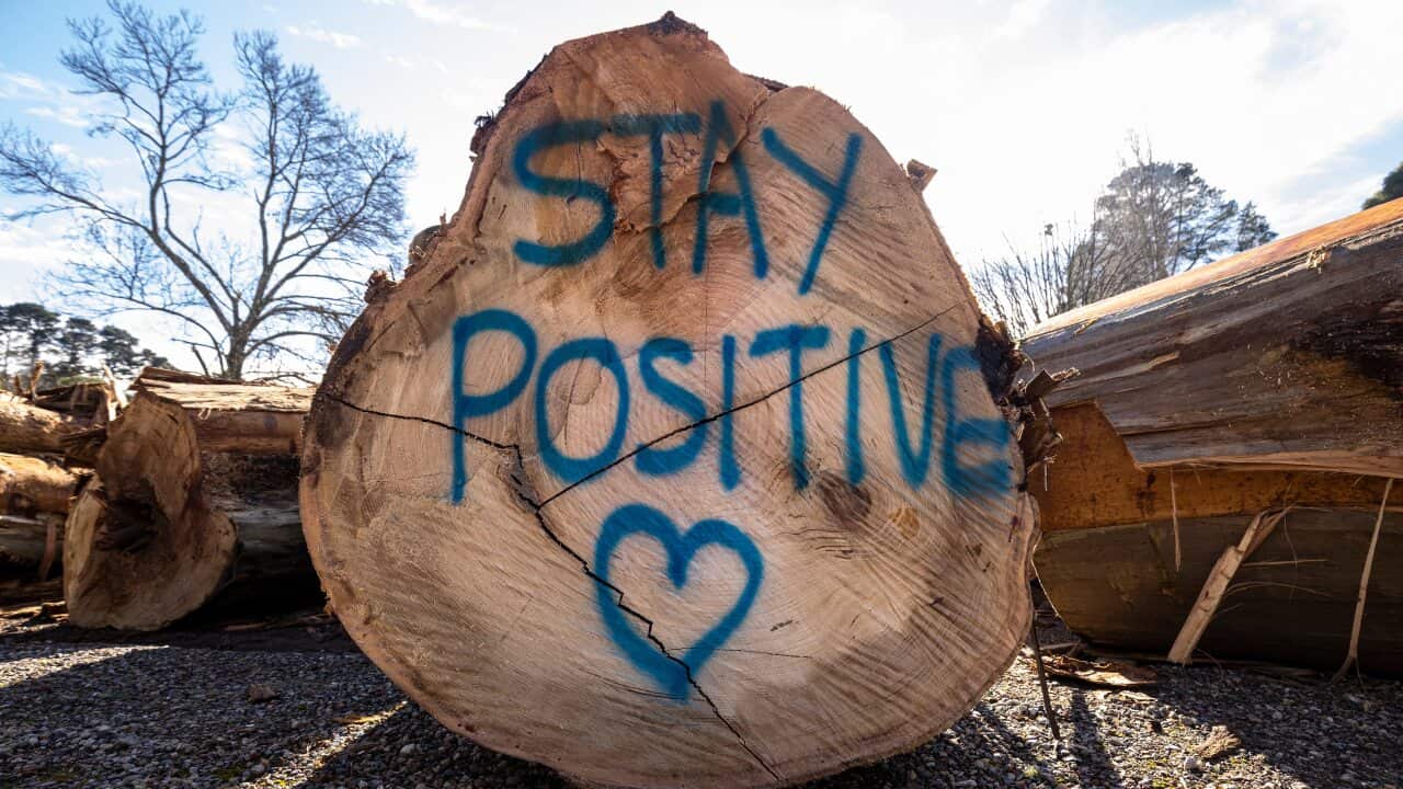 Messages are seen on cut trees in Kalorama, Melbourne, Tuesday, June 15, 2021. (AAP Image/Daniel Pockett) NO ARCHIVING