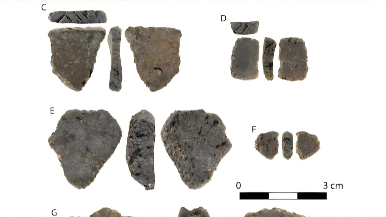 Some of the pottery shards