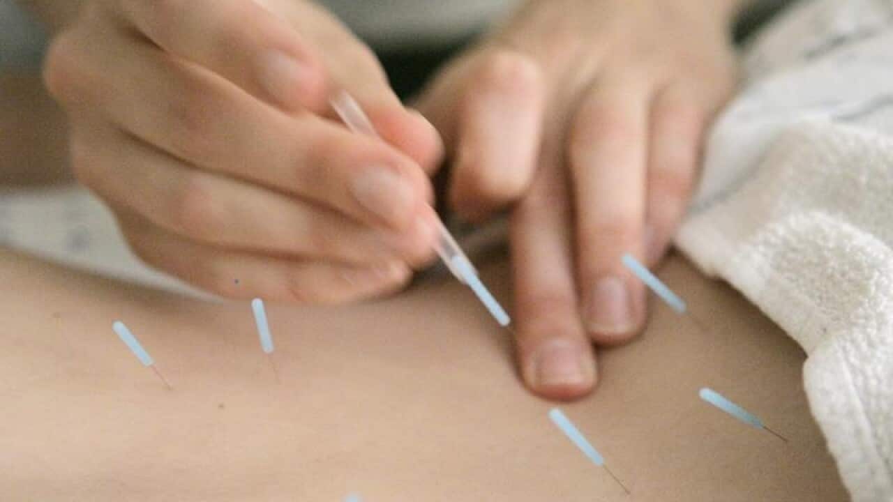 acupuncture needles in the muscles around the spine