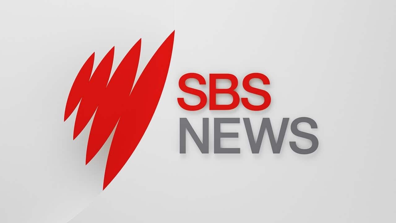 bango la taarifa za habari la SBS