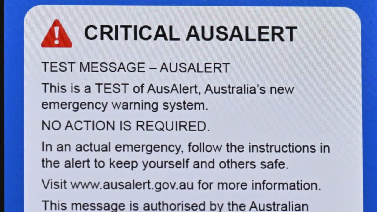 AUSALERT STOCK