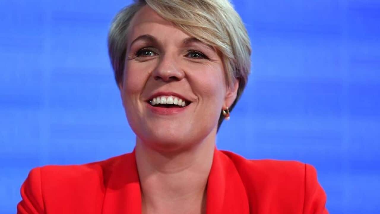 Deputy Opposition Leader Tanya Plibersek at the National Press Club