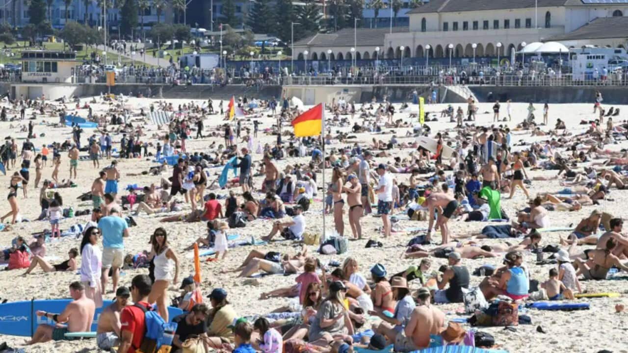 Sydneysiders Enjoy Warmer Than Average August Weather.jpg
