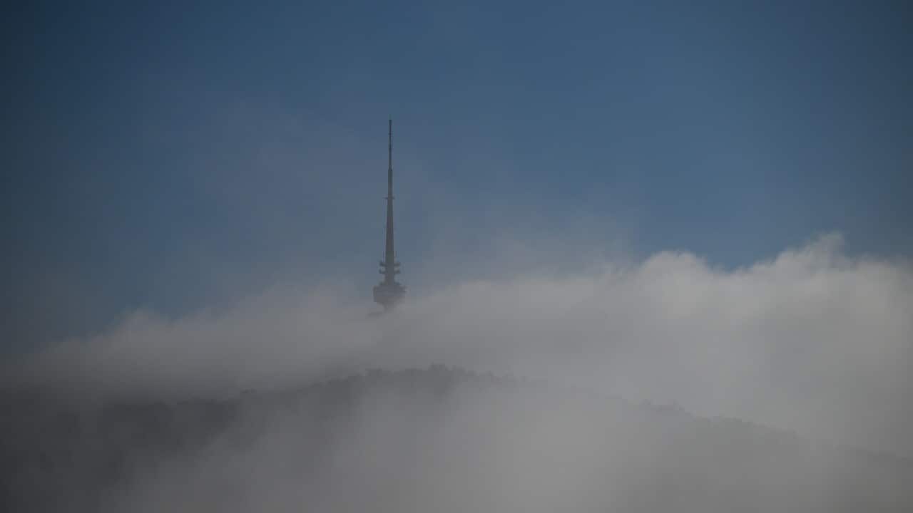 CANBERRA COLD WEATHER STOCK