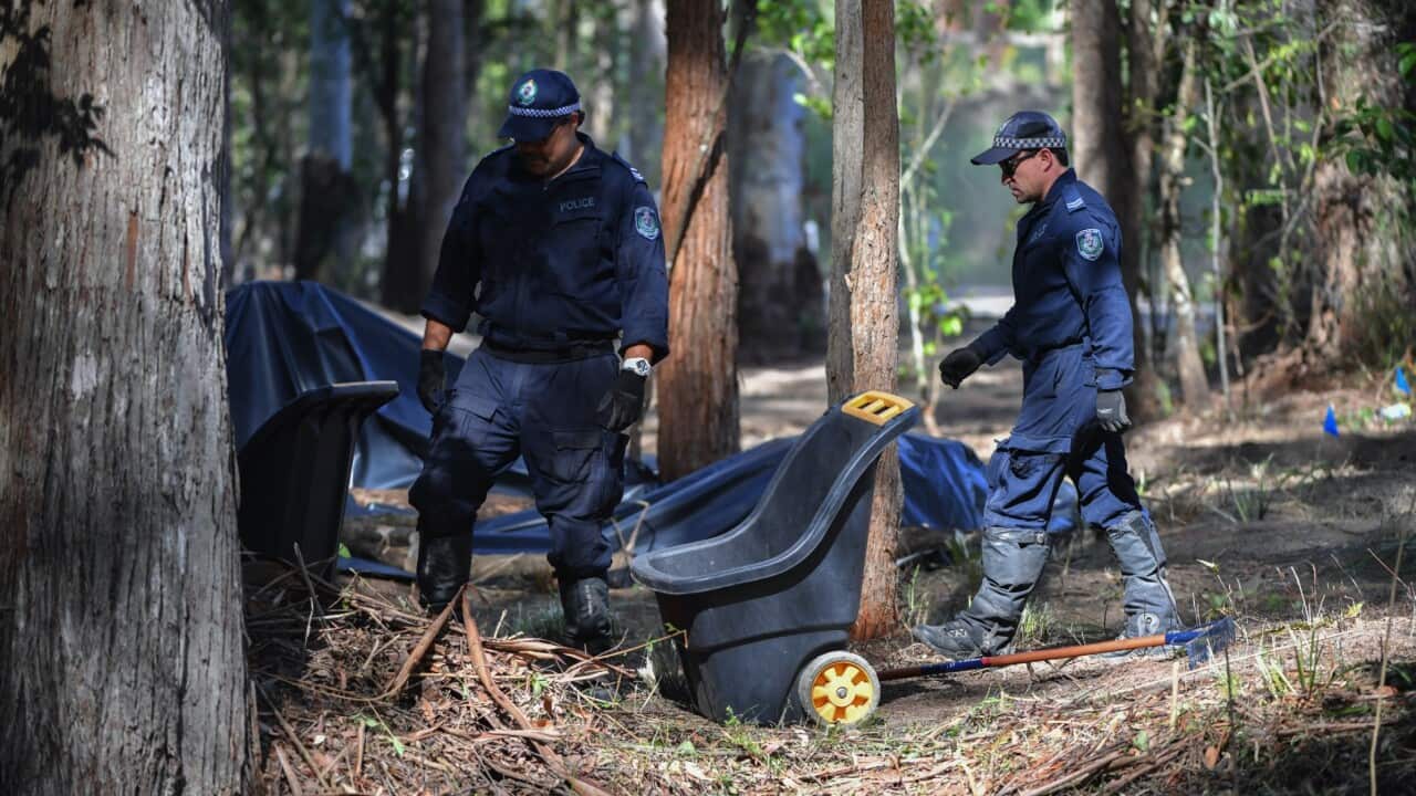 NSW Police search an area of bush, 1km from the former home of William Tyrrell’s foster grandmother in Kendall in NSW on 18 November 2021.