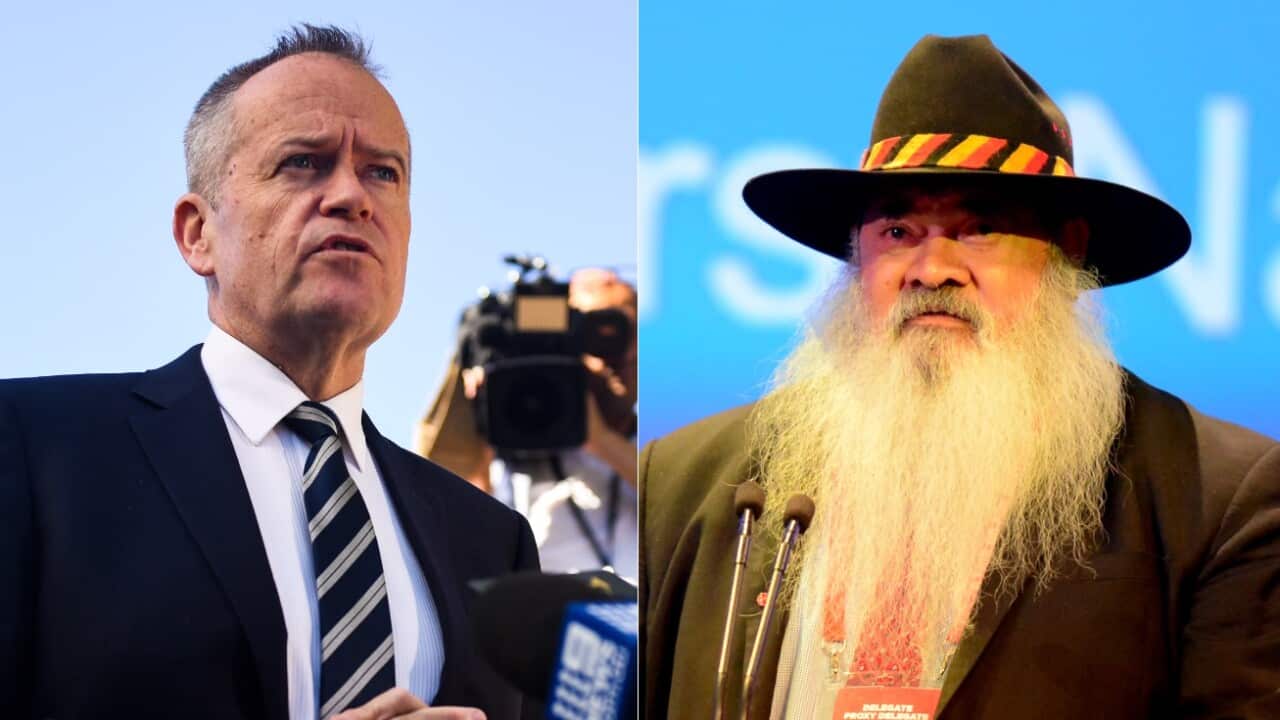 Labor leader Bill Shorten and Labor Senator Pat Dobson are pushing ahead with the plan