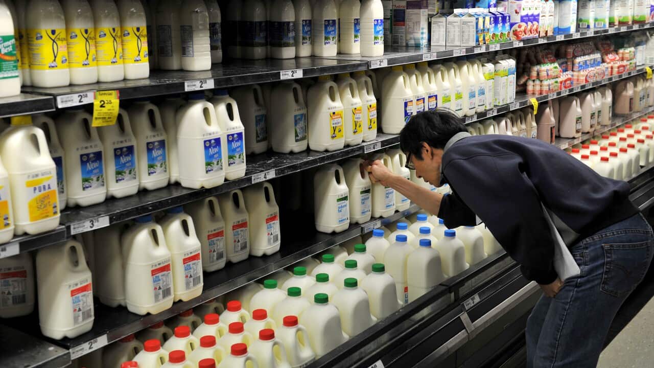 A shopper selects a bottle of milk at a supermarket in Sydney on Monday, May 7, 2012. (AAP Image/Paul Miller) NO ARCHIVING