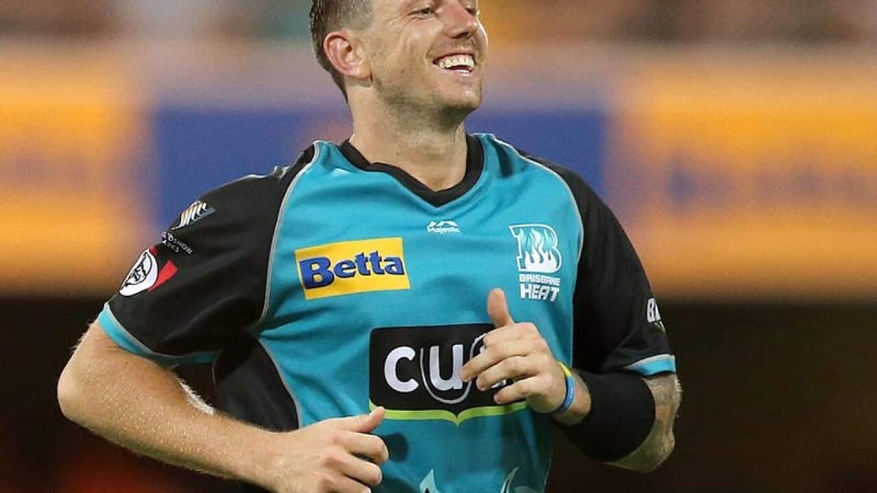 CRICKET BBL HEAT STRIKERS PATTINSON