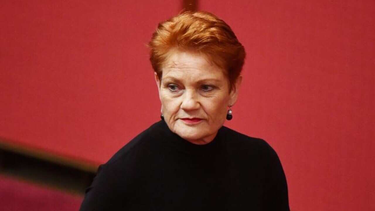 Pauline Hanson says any corporate tax cuts shouldn't go to the banks.