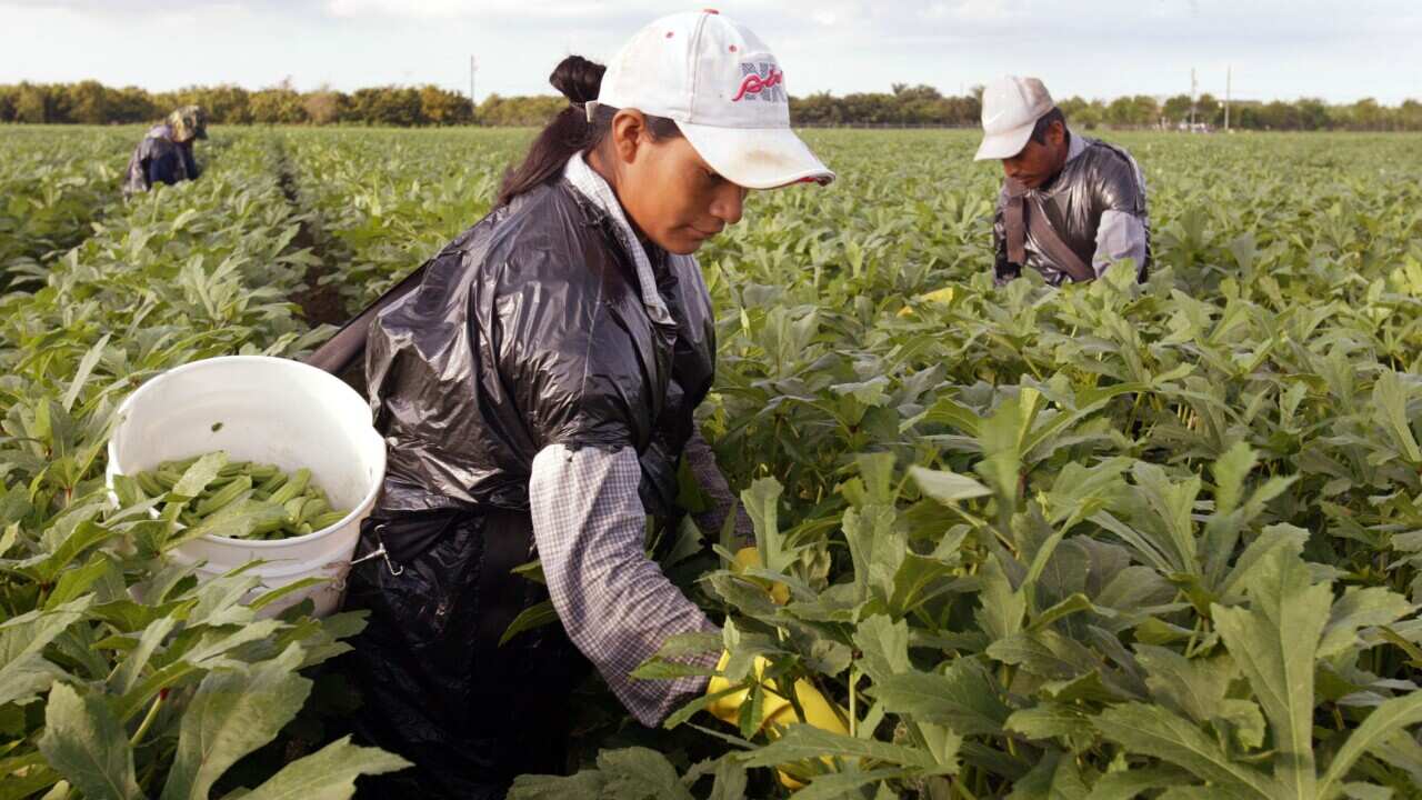 The Fairwork Commission said the existing piecework provisions were "not fit for purpose".