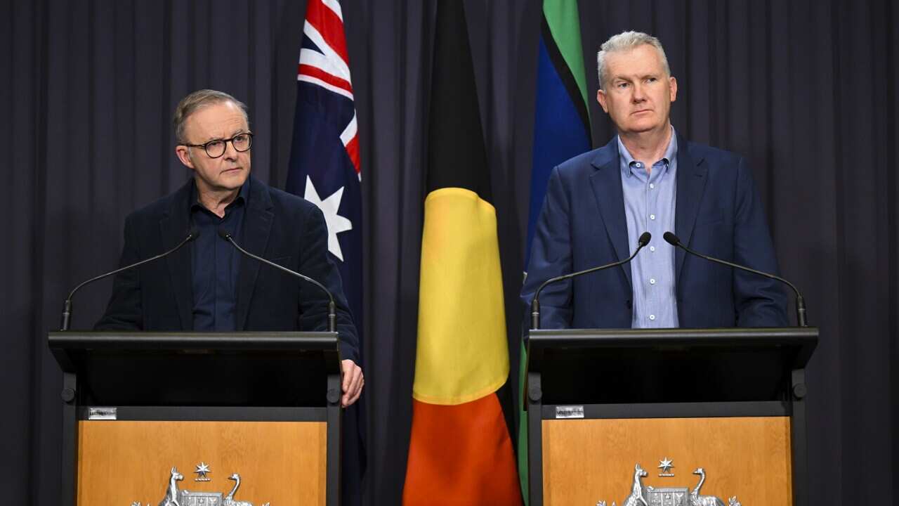 ANTHONY ALBANESE IR BILL PRESSER