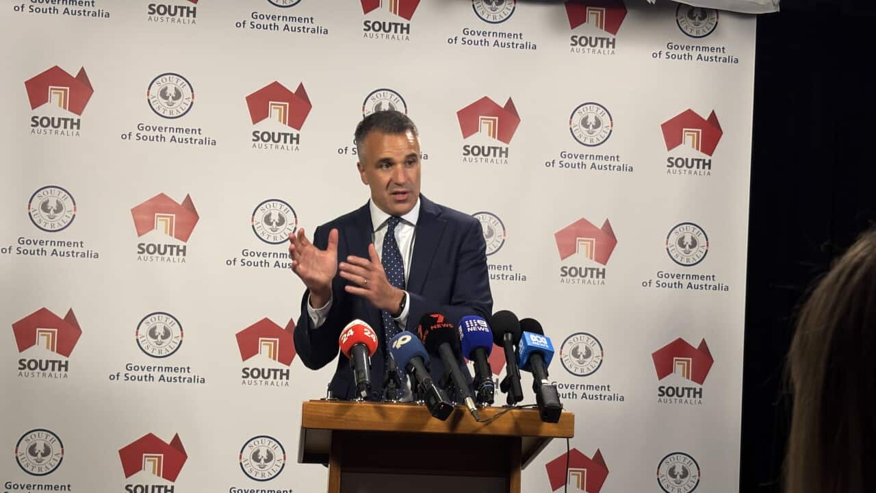 AI ROYAL COMMISSION