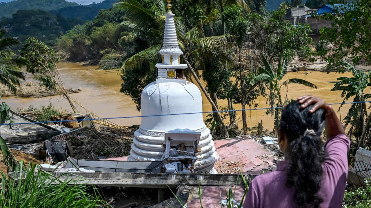 Image for read more article 'පසුගිය පුවත්'