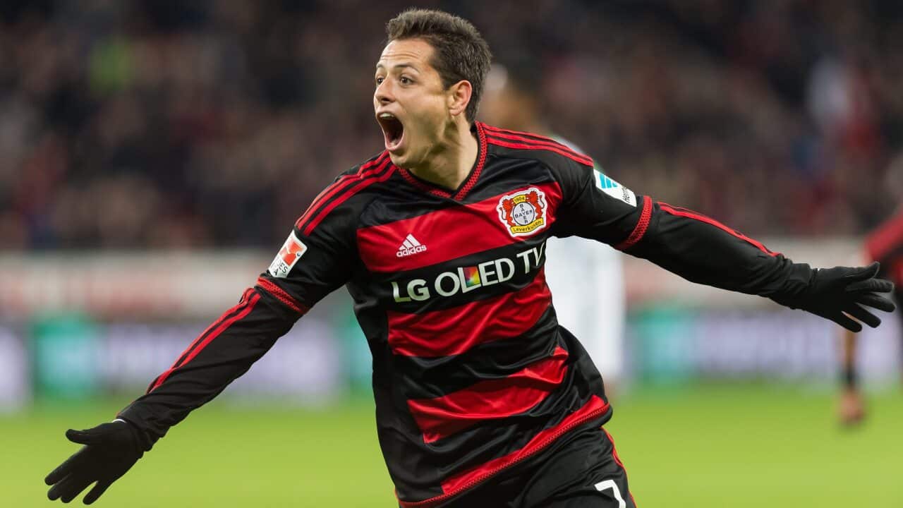 Bayer Leverkusen Wolfsburg