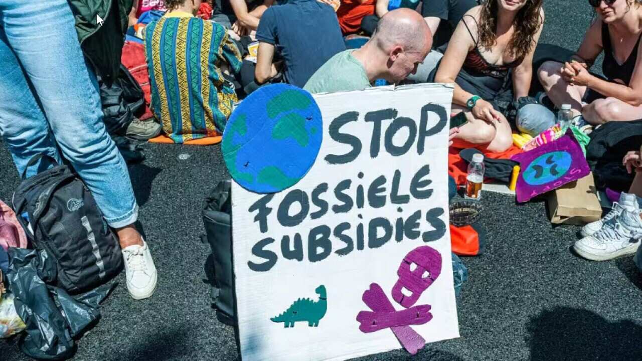 Eco.jpg