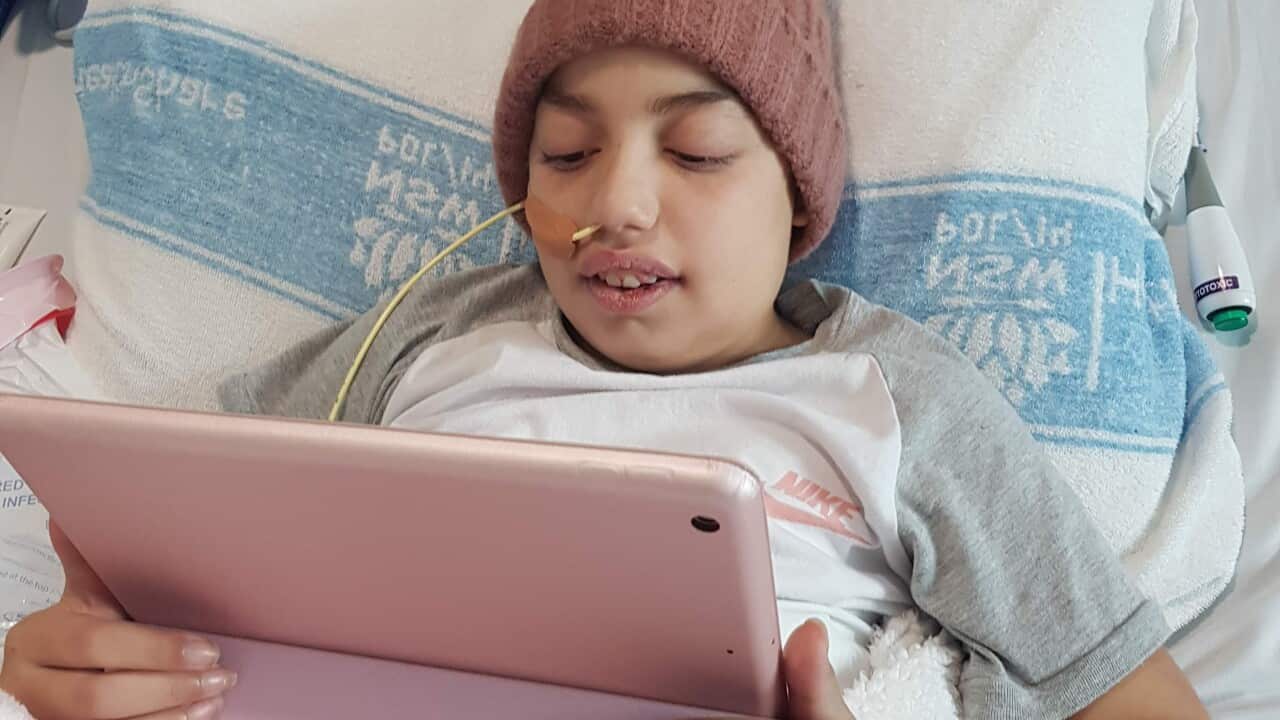 Alyssar Tabbah_main.jpg