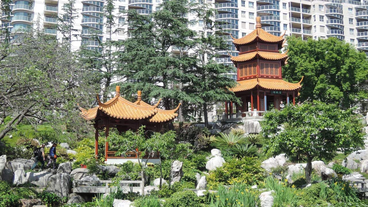 Image for read more article 'READ MORE'