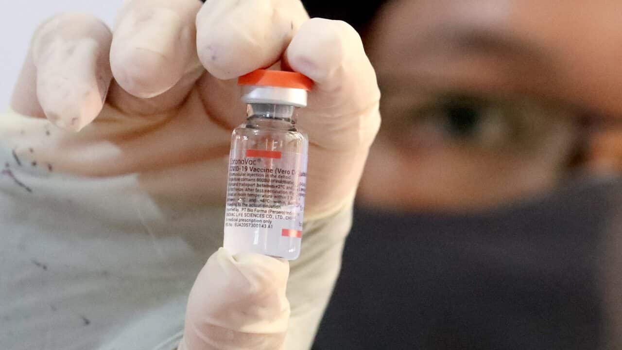 An Indonesian health worker shows a vial containing Sinovac COVID-19 vaccine in Depok, Indonesia, 22 September 2021.