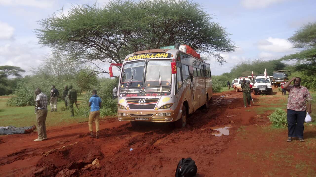 Shabab militants kill 28 in bus attack