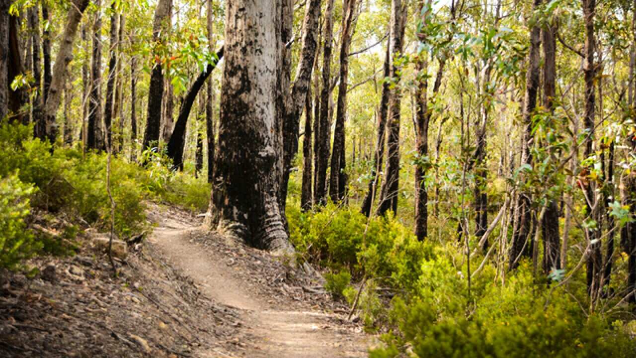 North South Track-640-Bicknell_659702959